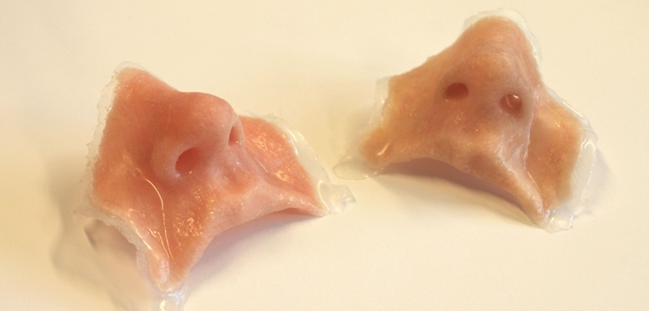 3D Printed soft tissue prostheses developed by Fripp Design & Research, from 3D Printshow London, 2013